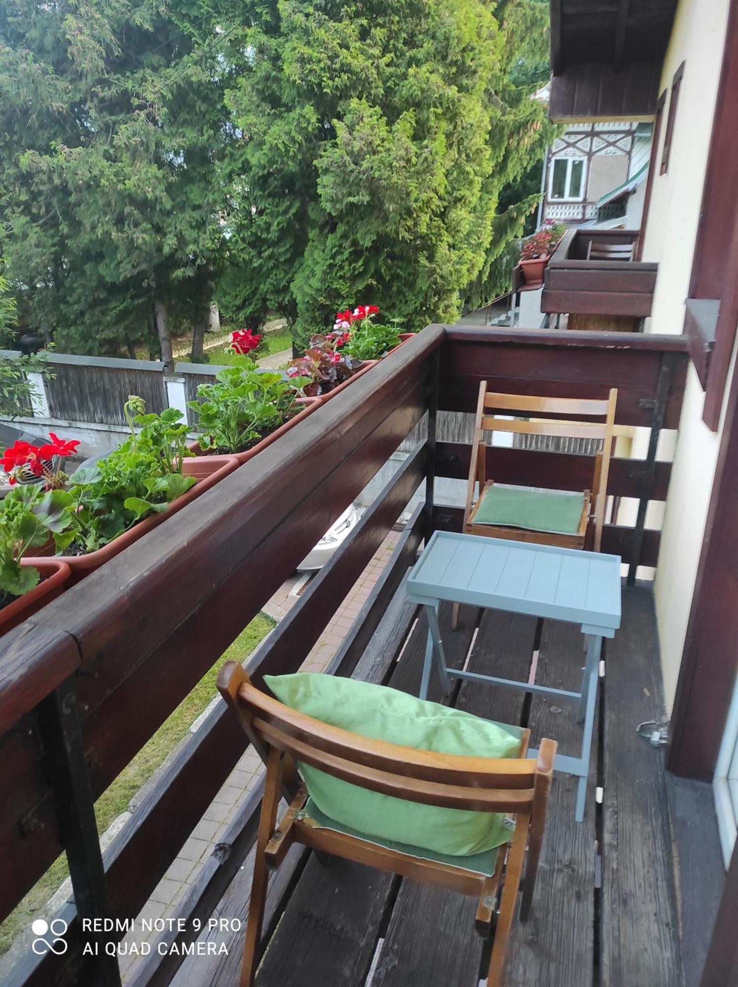 Villa Foisor Buşteni Esterno foto
