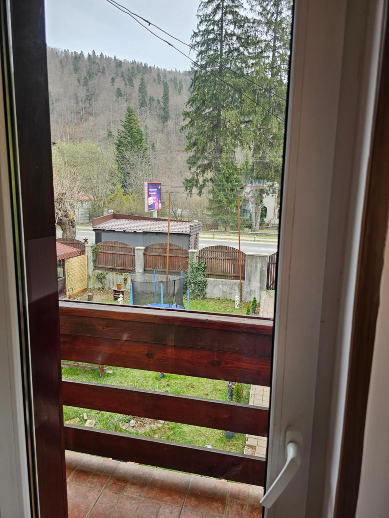 Villa Foisor Buşteni Esterno foto